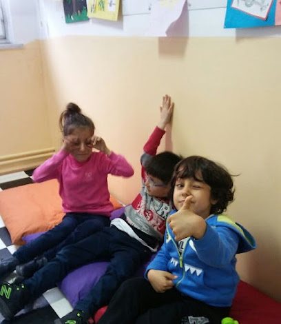 Bilişsel Akademi