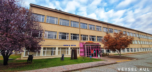 Gazi Üniversitesi Gazi Eğitim Fakültesi Güzel Sanatlar Eğitimi Bölümü Resim-İş Eğitimi Anabilim Dalı