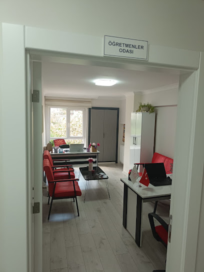 Anadolu Eğitim Akademisi