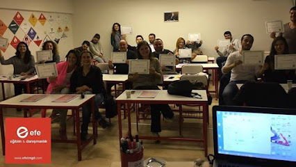 Efe Eğitim ve Danışmanlık