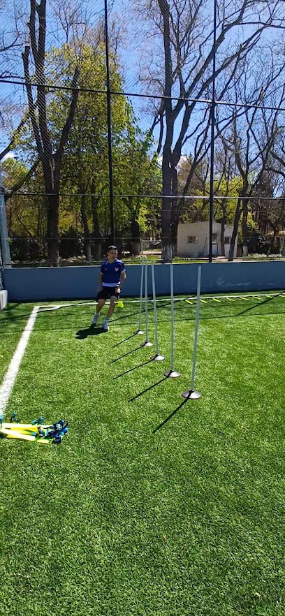 FootbALLPro+ FOOTBALLACADEMY Türkiye