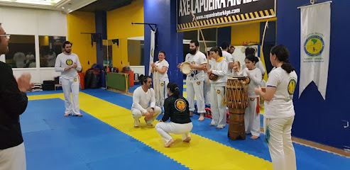 Axé Capoeira Akademi