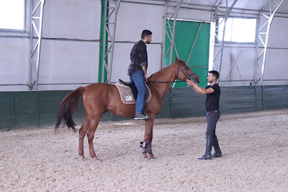 Ahal Teke Binicilik Tesisleri