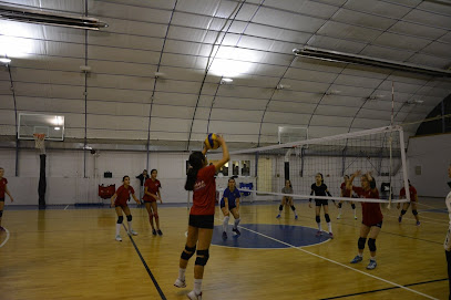 Filenin Yıldızları Voleybol Akademisi