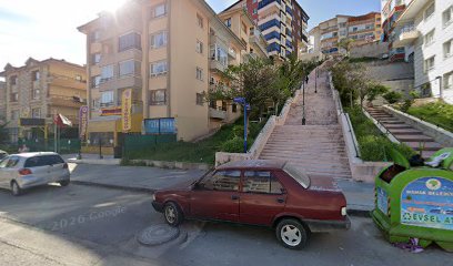 Anadolu cimnastik