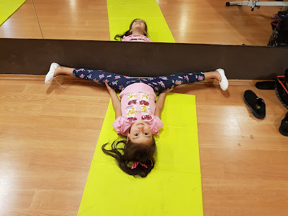 Favori Dans ve Spor Kulübü Derneği