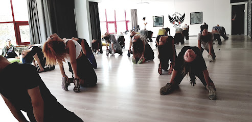 Dancecholic Academy
