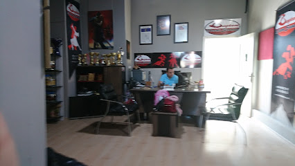 Başkent Dans ve Sanat