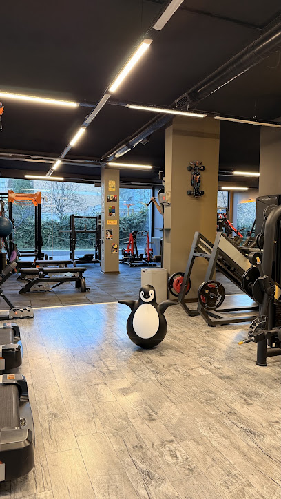 Bulls Gym