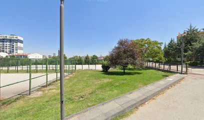 Tenis Kortu